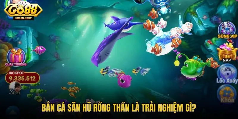 ban-ca-san-hu-rong-than-la-trai-nghiem-gi ban-ca-san-hu-rong-than-la-trai-nghiem-gi